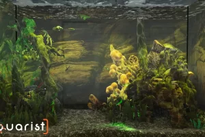 Aquarist (2024) RePack от селезень