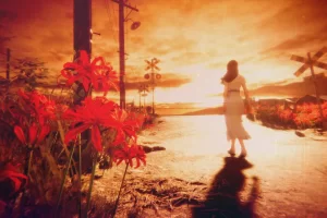 Hollow Cocoon (2023) RePack от FitGirl