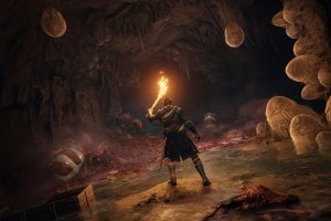 Elden Ring: Shadow of the Erdtree Deluxe Edition (2022) Repack от dixen18