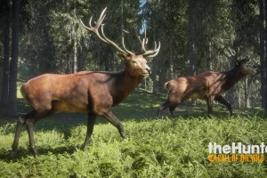 TheHunter: Call of the Wild - Complete Collection (2017) RePack от FitGirl