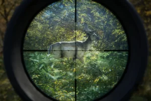 TheHunter: Call of the Wild - Complete Collection (2017) RePack от FitGirl