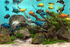 Behind Glass: Aquarium Simulator (2025) [Ru/Multi] Portable версия