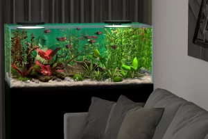 Behind Glass: Aquarium Simulator (2025) [Ru/Multi] Portable версия