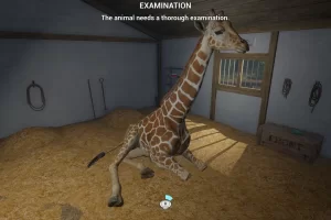 My Life: Zoo Vet (2025) Repack от FitGirl