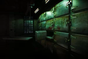 Asylum (2025) RePack от селезень