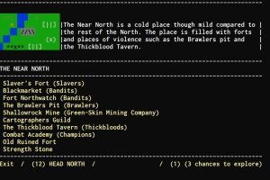 Warsim: The Realm of Aslona (2022) License GOG