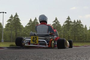Kart Racing PRO (2010) beta6 Trial