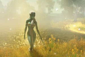 Drakensang: The River of Time (2010) Лицензия