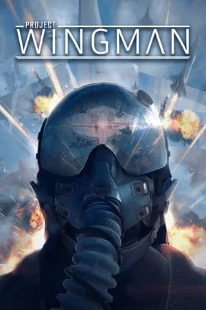 Project Wingman (2020) [Ru/Multi] License GOG
