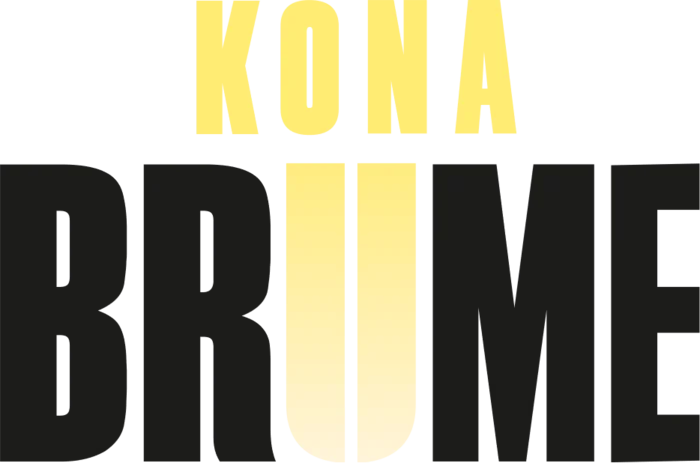 KONA II: BRUME (2023) [Ru/Multi] License GOG