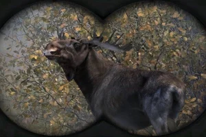 Cabela's Big Game Hunter: Pro Hunts (2014) Scene RELOADED