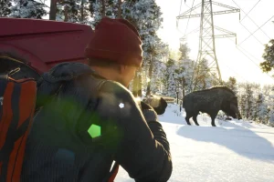 SCUM: Complete Bundle (2025) RePack от FitGirl