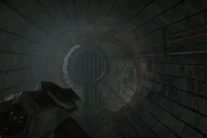 Lost in Vivo (2018) Portable версия