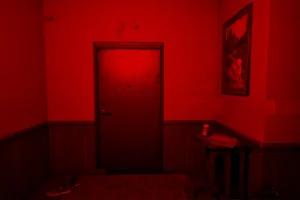 Who's at the door? (2025) [Ru/Multi] Scene TENOKE